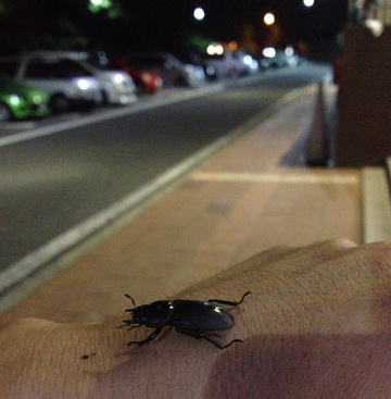 20140726-IMG_1628.JPG