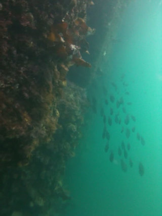 20140924-sea.jpg 20140924-sea.jpg
