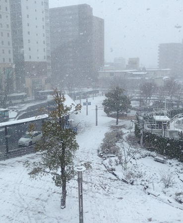 雪