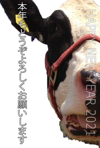 2021年